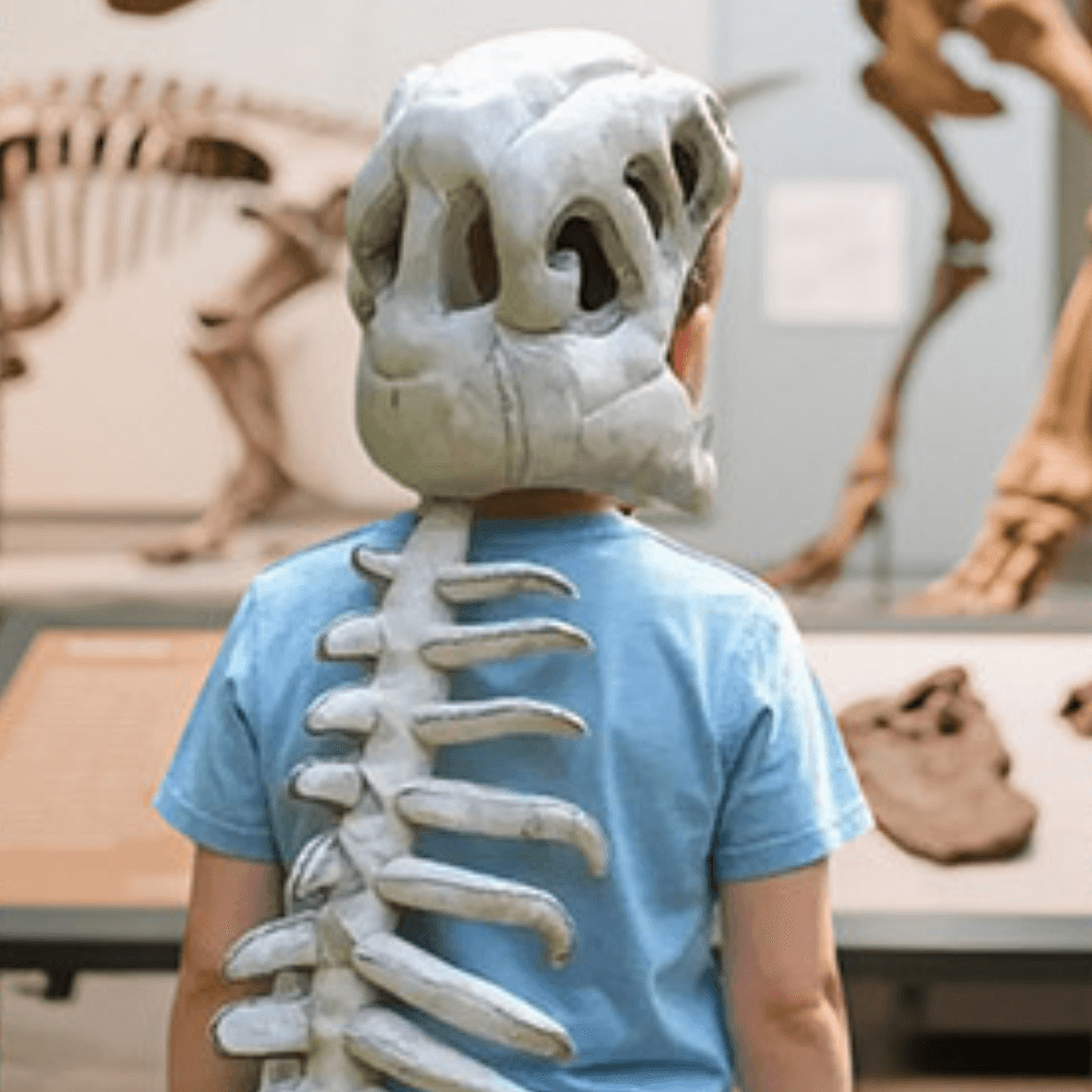 Pluszowy strój Dinozaura